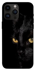 Чохол itsPrint Чорний кіт для Apple iPhone 14 Pro Max (6.7")