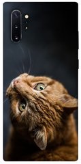 Чохол itsPrint Рудий кіт для Samsung Galaxy Note 10 Plus