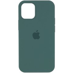 Уцінка Чохол Silicone Case Full Protective (AA) для Apple iPhone 12 Pro Max (6.7") Естетичний дефект / Зелений / Light cactus