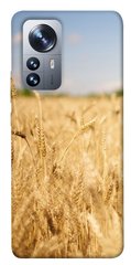 Чехол itsPrint Поле пшеницы для Xiaomi 12 / 12X