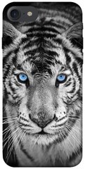 Чохол itsPrint Бенгальський тигр для Apple iPhone 7 / 8 (4.7")