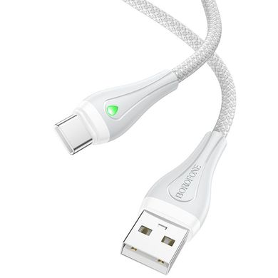 Дата кабель Borofone BX100 Advantage USB to Type-C (1m) Gray