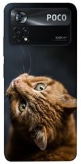 Чехол itsPrint Рыжий кот для Xiaomi Poco X4 Pro 5G