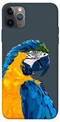 Чохол itsPrint Папуга для Apple iPhone 12 Pro Max (6.7")