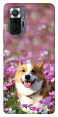 Чохол itsPrint Коргі в квітах для Xiaomi Redmi Note 10 Pro Max