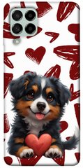 Чехол itsPrint Animals love 8 для Samsung Galaxy M53 5G