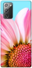 Чохол itsPrint Квіткові пелюстки для Samsung Galaxy Note 20