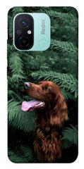 Чехол itsPrint Собака в зелени для Xiaomi Redmi 12C