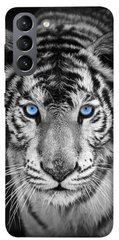 Чохол itsPrint Бенгальський тигр для Samsung Galaxy S21