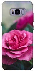 Чохол itsPrint Троянда у саду для Samsung G955 Galaxy S8 Plus