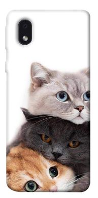 Чохол itsPrint Три коти для Samsung Galaxy M01 Core / A01 Core