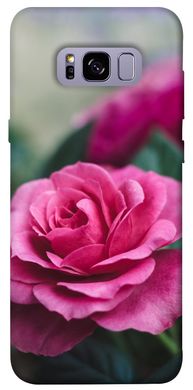 Чехол itsPrint Роза в саду для Samsung G955 Galaxy S8 Plus