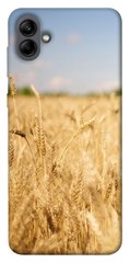 Чохол itsPrint Поле пшениці для Samsung Galaxy A04