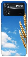 Чехол itsPrint Пшеница для Xiaomi Poco X4 Pro 5G