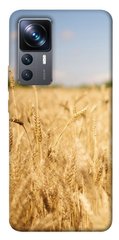 Чехол itsPrint Поле пшеницы для Xiaomi 12T / 12T Pro