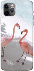 Чохол itsPrint Flamingos для Apple iPhone 11 Pro Max (6.5")