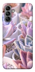 Чехол itsPrint Эхеверия 2 для Samsung Galaxy A04s