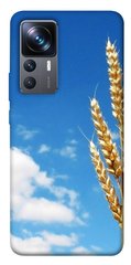 Чехол itsPrint Пшеница для Xiaomi 12T / 12T Pro