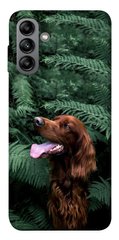 Чохол itsPrint Собака в зелені для Samsung Galaxy A04s