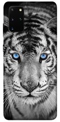 Чехол itsPrint Бенгальский тигр для Samsung Galaxy S20+