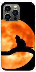Чехол itsPrint Кот на фоне луны для Apple iPhone 13 Pro (6.1")