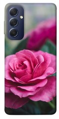 Чохол itsPrint Троянда у саду для Samsung Galaxy M54 5G