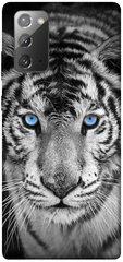 Чехол itsPrint Бенгальский тигр для Samsung Galaxy Note 20