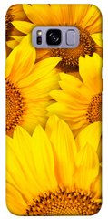 Чохол itsPrint Букет соняшників для Samsung G955 Galaxy S8 Plus