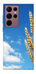 Чехол itsPrint Пшеница для Samsung Galaxy S22 Ultra