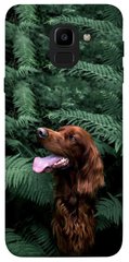 Чохол itsPrint Собака в зелені для Samsung J600F Galaxy J6 (2018)