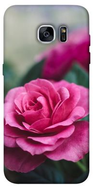 Чохол itsPrint Троянди в саду для Samsung G935F Galaxy S7 Edge