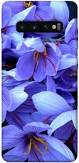Чехол itsPrint Фиолетовый сад для Samsung Galaxy S10+
