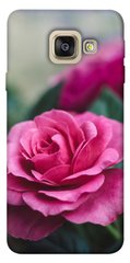 Чохол itsPrint Роза біля саду для Samsung A520 Galaxy A5 (2017)