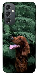 Чехол itsPrint Собака в зелени для Samsung Galaxy A24 4G