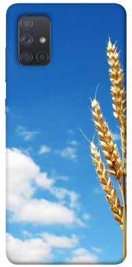 Чохол itsPrint Пшениця для Samsung Galaxy A71