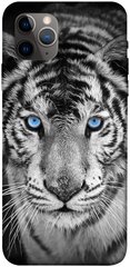 Чохол itsPrint Бенгальський тигр для Apple iPhone 11 Pro Max (6.5")