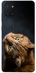 Чохол itsPrint Рудий кіт для Samsung Galaxy Note 10 Lite (A81)