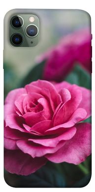 Чохол itsPrint Роза в саду для Apple iPhone 11 Pro Max (6.5")
