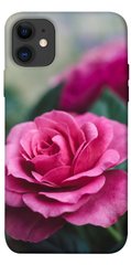 Чехол itsPrint Роза в саду для Apple iPhone 11 (6.1")