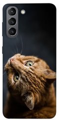 Чохол itsPrint Рудий кіт для Samsung Galaxy S21