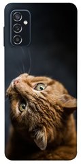Чохол itsPrint Рудий кіт для Samsung Galaxy M52