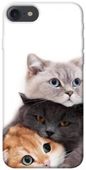 Чохол itsPrint Три коти для Apple iPhone 7 / 8 (4.7")