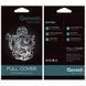 Захисне скло Ganesh (Full Cover) для Apple iPhone 11 / XR (6.1") Чорний фото 3