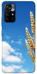 Чехол itsPrint Пшеница для Xiaomi Poco M4 Pro 5G
