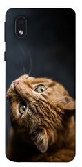 Чехол itsPrint Рыжий кот для Samsung Galaxy M01 Core / A01 Core