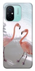 Чехол itsPrint Flamingos для Xiaomi Redmi 12C