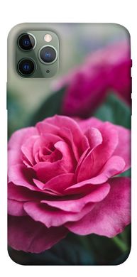 Чохол itsPrint Роза в саду для Apple iPhone 11 Pro (5.8")