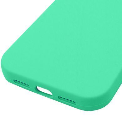 Чехол Silk Full Protective (AA) NO LOGO для Apple iPhone 17 Pro Max (6.9") Зеленый / Spearmint