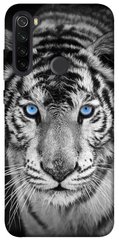 Чехол itsPrint Бенгальский тигр для Xiaomi Redmi Note 8T