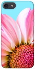 Чохол itsPrint Квіткові пелюстки для Apple iPhone 7 / 8 (4.7")